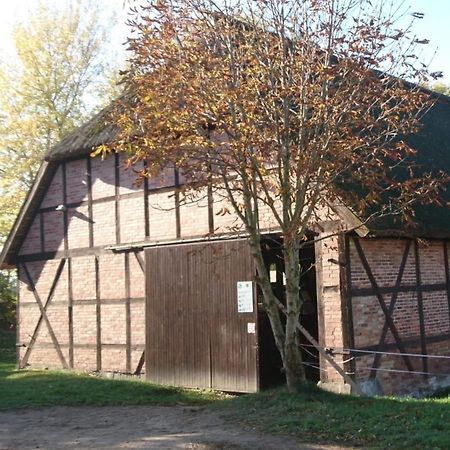 Reiterhof Gross Stubben Lägenhet Poseritz Exteriör bild