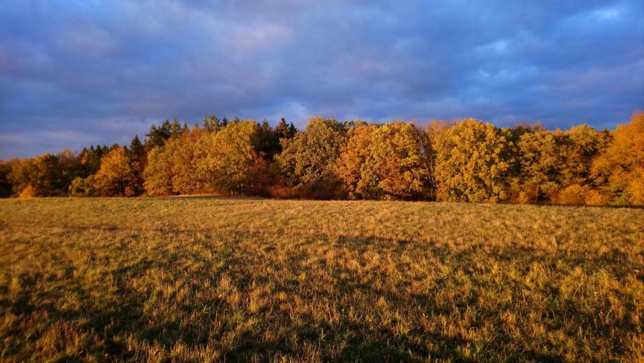 Reiterhof Gross Stubben Lägenhet Poseritz Exteriör bild