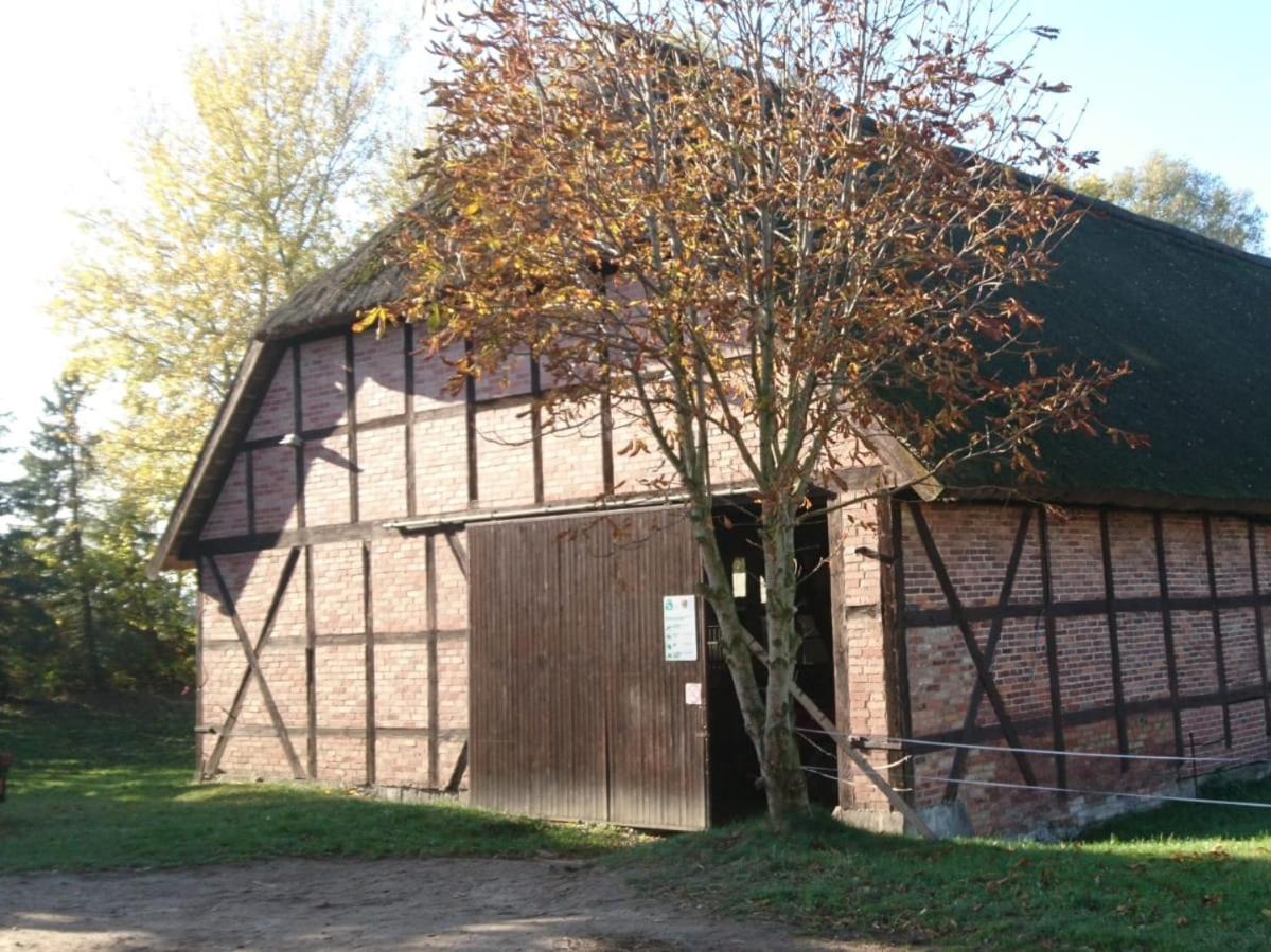 Reiterhof Gross Stubben Lägenhet Poseritz Exteriör bild